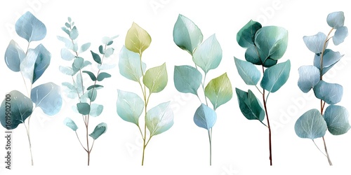 Watercolor eucalyptus leaves clipart set, soft blue and green tones, simple, white background,
