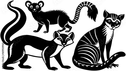 Vector  illustration of a skunk, a coati, a ring tailed cat and a fisher in black and white color scheme