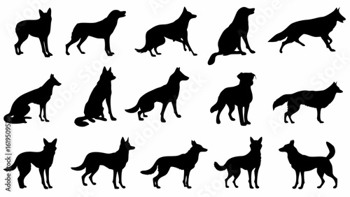 Vector  silhouette collection of various dog breeds in different poses standing sitting and running on white background