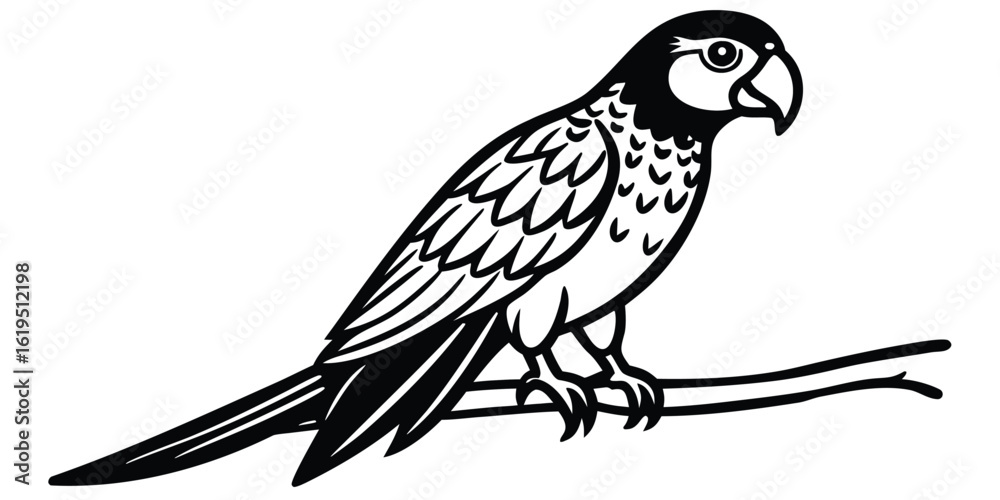 Obraz premium Stylized black and white illustration of a macaw parrot perched on a branch