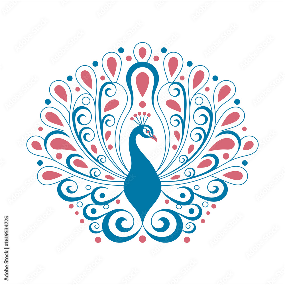 Fototapeta premium peacock vector illustration