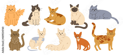 Collection of Hand Drawn Cat Breeds, Cartoon Pets.