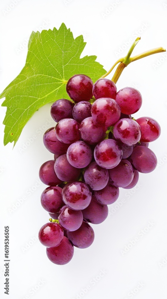 Fototapeta premium Fresh cluster of ripe purple grapes with green leaf on white background. International Grenache Day