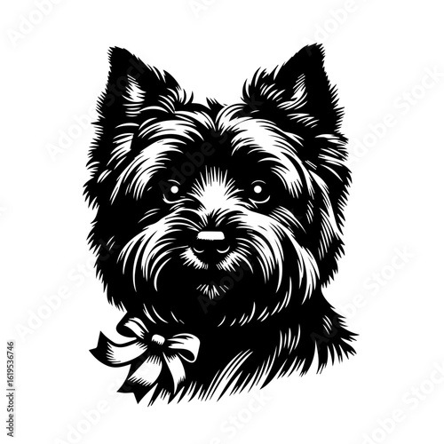 Adorable Yorkshire Terrier with Bow.