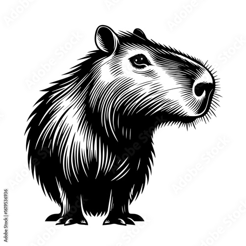 Black and White Capybara Portrait Illustration.