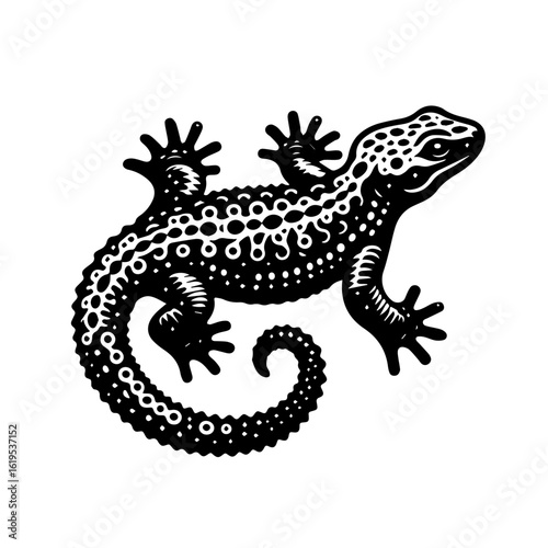 Black and White Gecko Illustration.