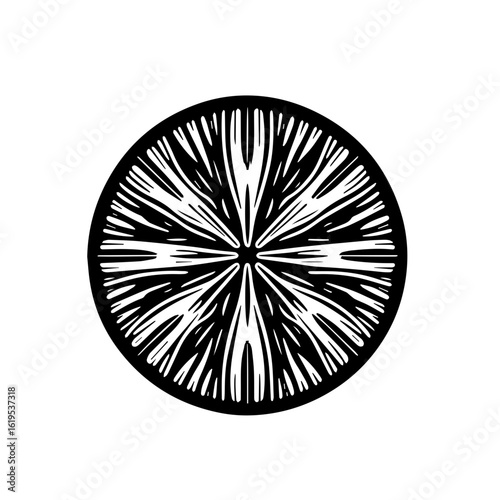 Black and White Stylized Citrus Slice Graphic.