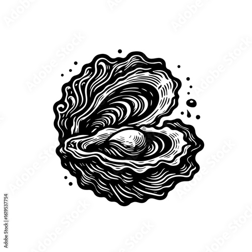 Detailed Black and White Illustration of an Open Oyster.