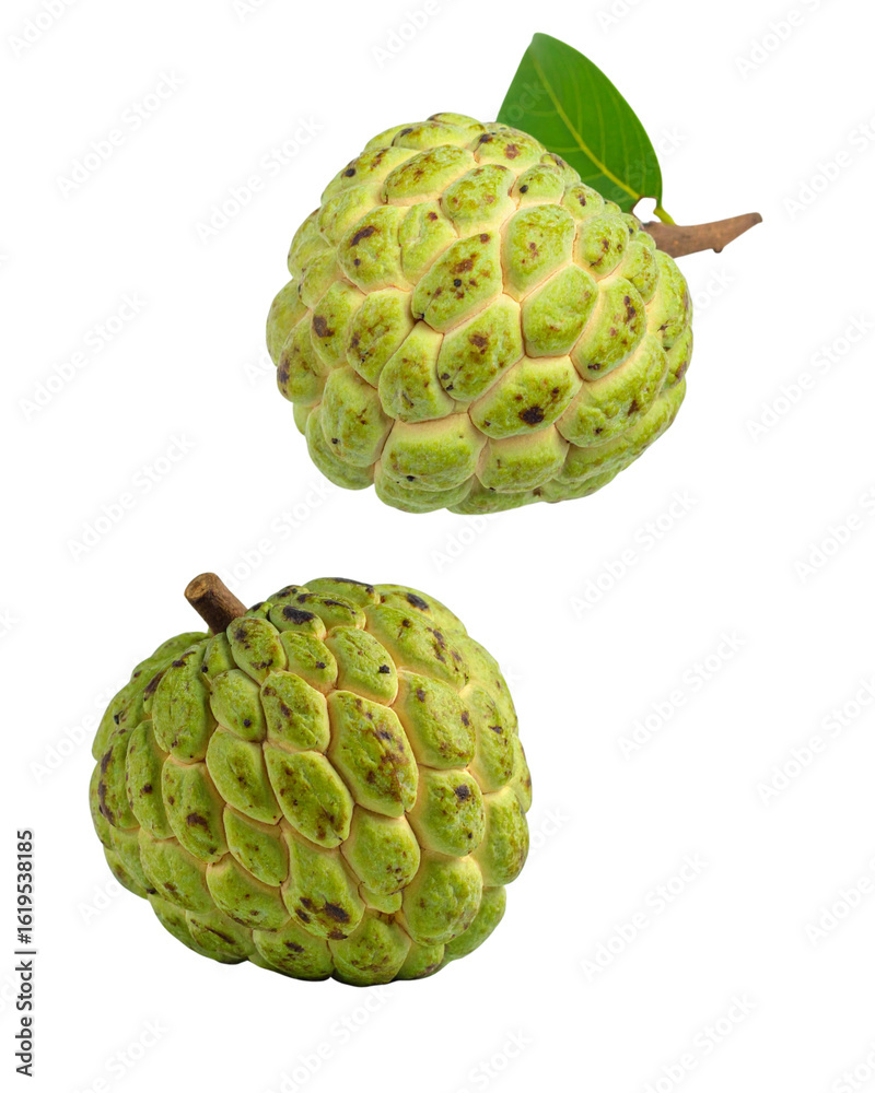 Obraz premium Fresh, healthy, and delicious custard apple fruit and isolated custard apple on a white background