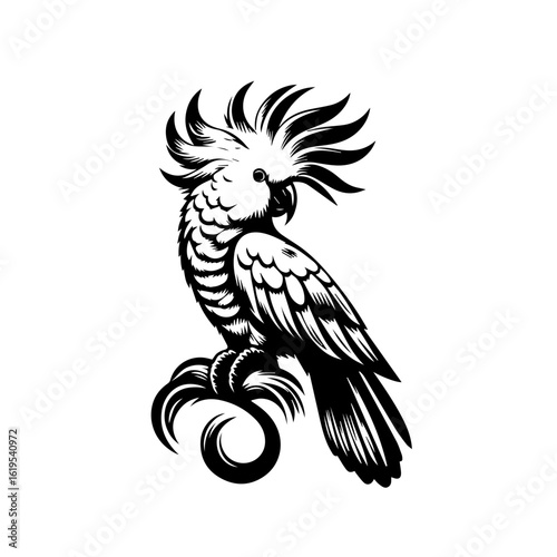 Stylized Black and White Cockatoo Perched.