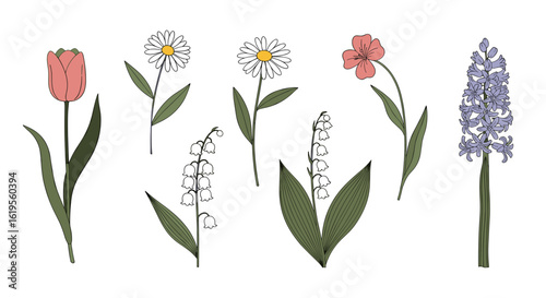 Adobe Illustrator Artwork