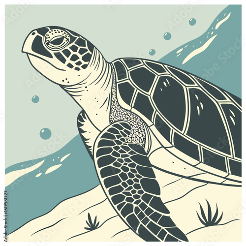 Hand drawn turtle outline illustration