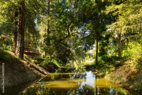 Stream along a walking trail on the UC Davis campus in Davis, California, USA taken on July 18, 2025.