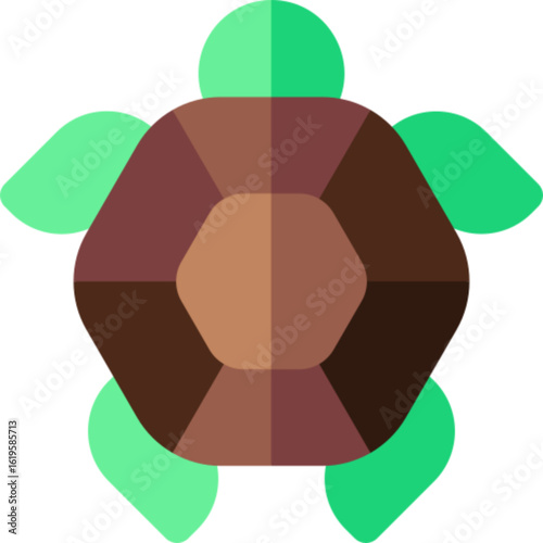 Turtle Animal Reptile
