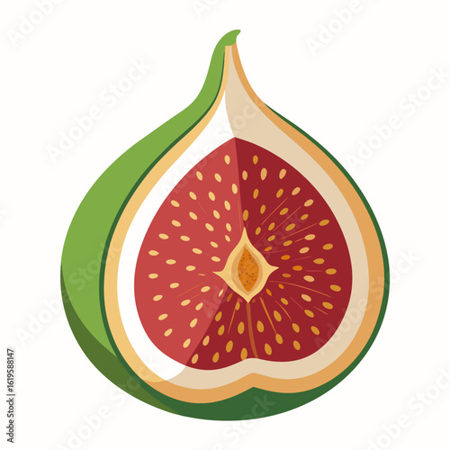 vector illustration of a grapefruit