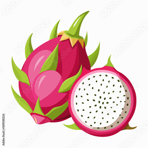 dragon fruit vector illustration