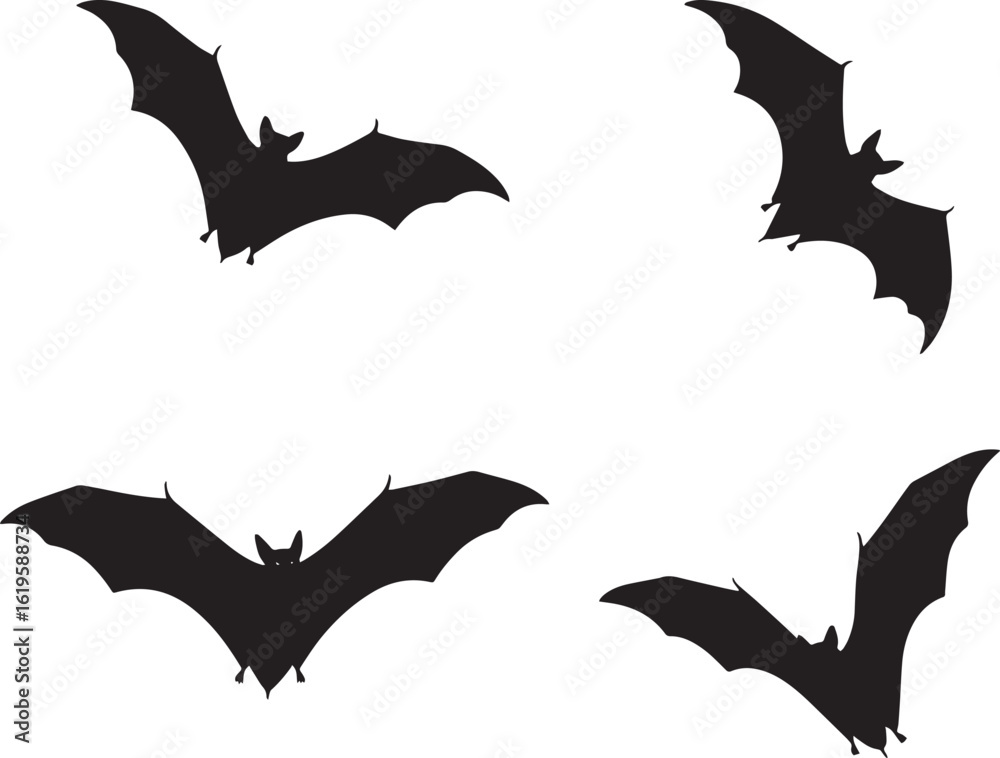 Fototapeta premium Bat silhouette vector illustration dark background on transparent background
