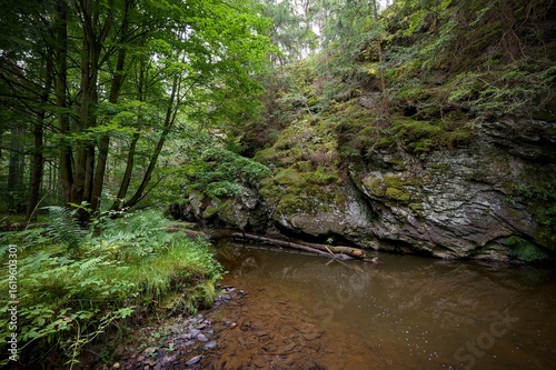 Židova Strouha Stream in South Bohemia, Czech Republic – Summer Landscape with Rocks, Lush Vegetation 