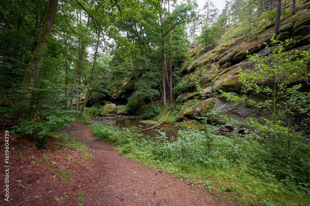 Židova Strouha Stream in South Bohemia, Czech Republic – Summer Landscape with Rocks, Lush Vegetation Židova Strouha Stream in South Bohemia, Czech Republic – Summer Landscape with Rocks, Lush Vegetation