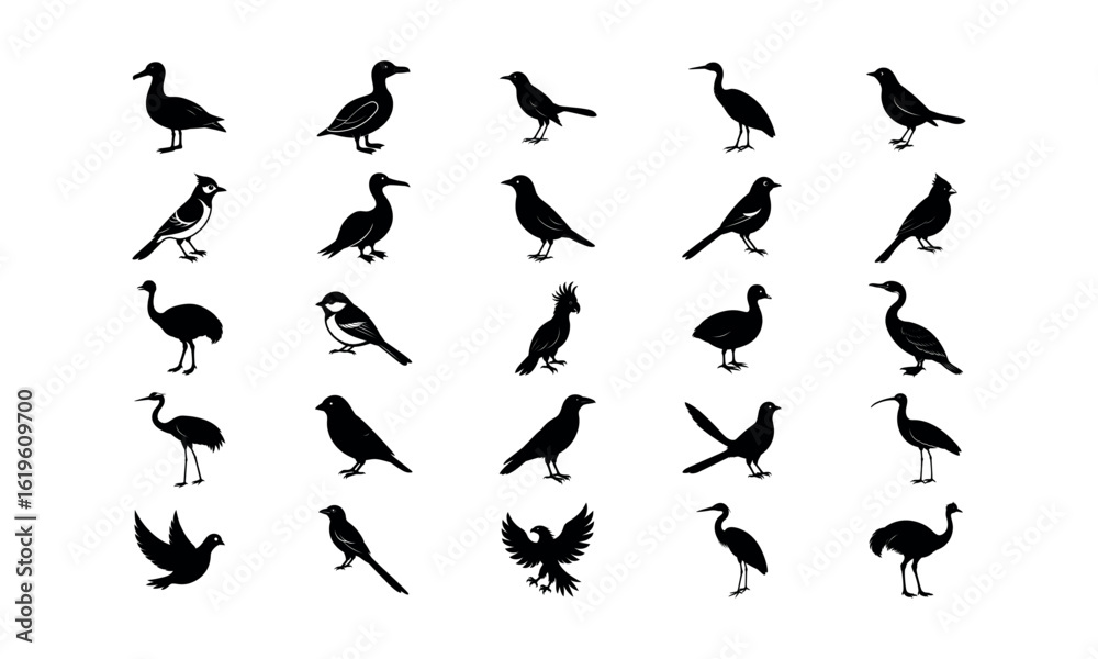 Obraz premium Birds Bundle_9 silhouette art Vector Illustration