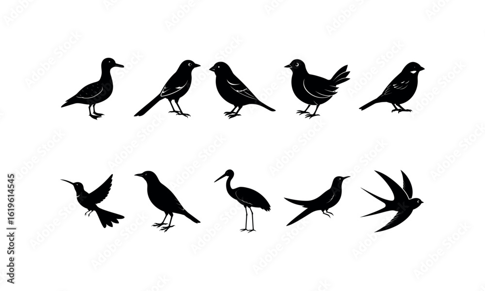 Obraz premium Birds Bundle_32 silhouette art Vector Illustration