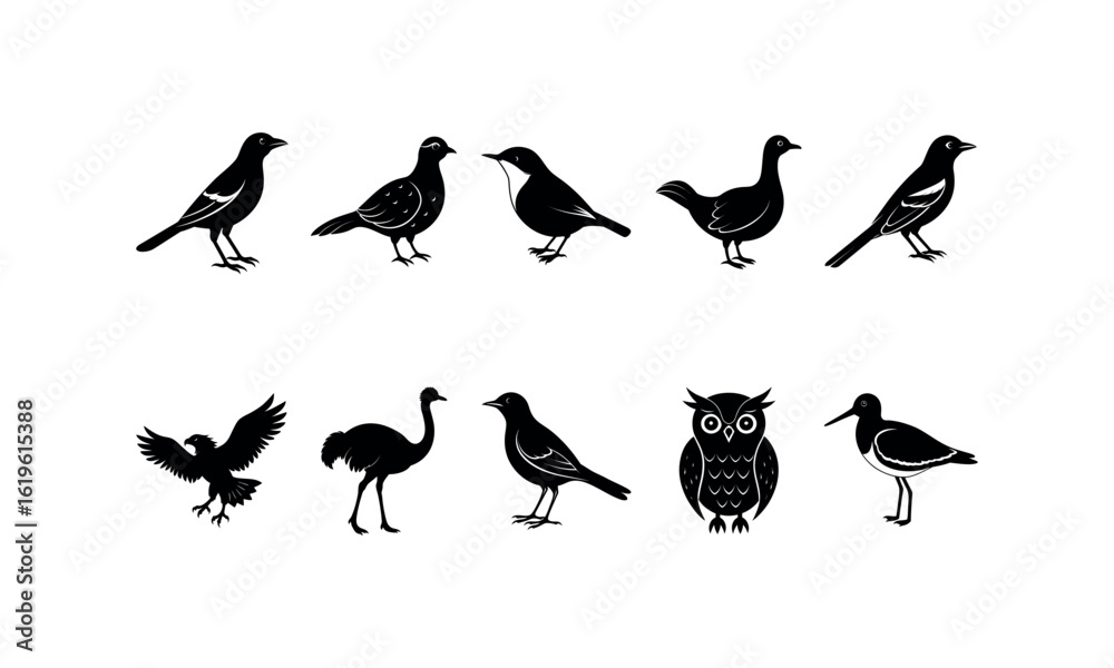 Obraz premium Birds Bundle_35 silhouette art Vector Illustration