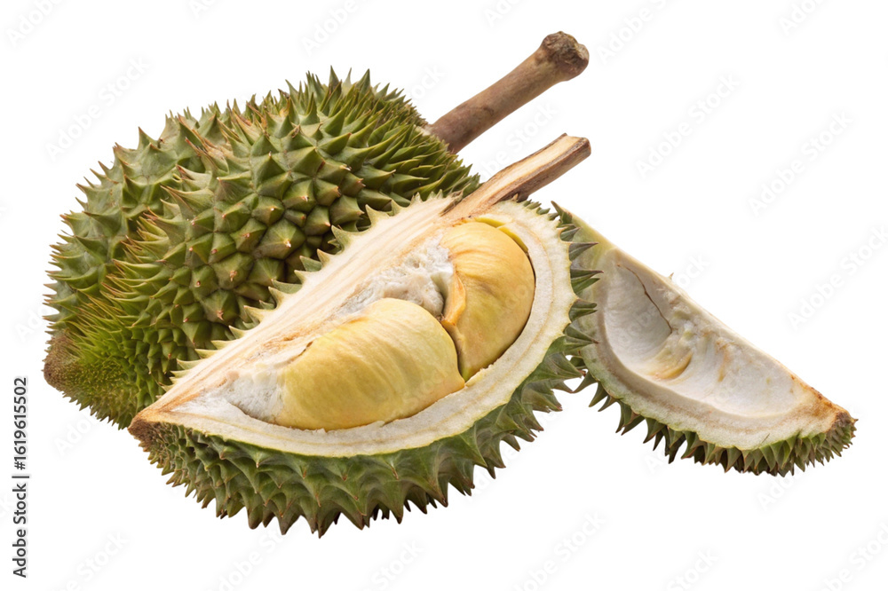 Fototapeta premium Fresh durian fruit cut open showing creamy flesh isolated on transparent background