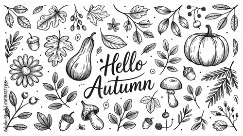 Hand-Drawn Autumn Elements with Hello Autumn Text