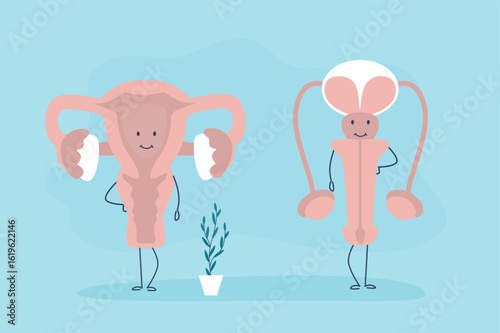Reproductive system. Anatomy characters with faces. Human male and female organs - vagina and penis, biology infographic template. Human organs funny mascots