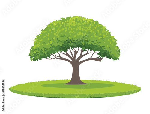 Mature Green Tree With Spreading Branches