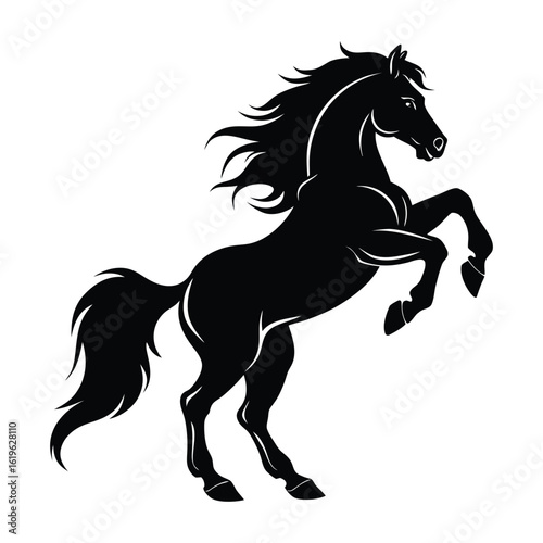horse silhouette isolated on white