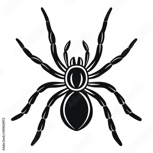 Black tarantula spider silhouette on white background vector