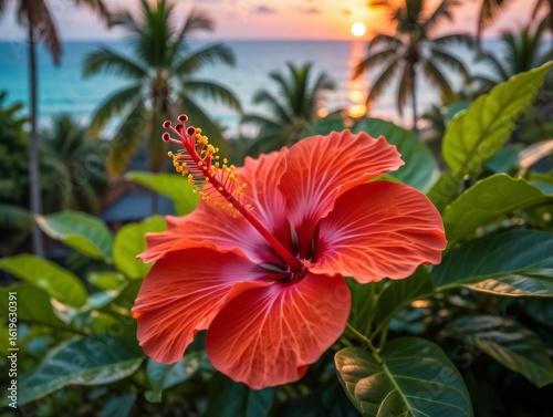 Red hibiscus flower blooming with palm trees and ocean at sunset