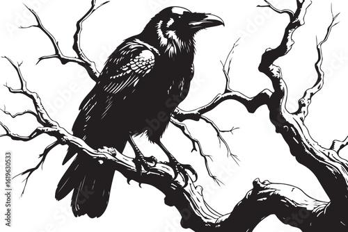 Mystical Raven on a Bare Branch
