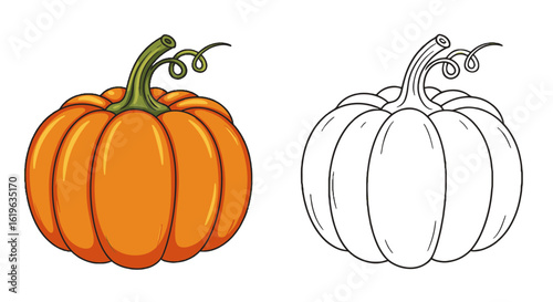 Orange and white pumpkins for coloring book for children  