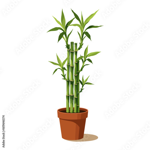 Green Bamboo Stalks in pot - Serene Asian Plant Design
