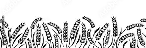 Wheat field, ears of wheat, rye or barley, agriculture and harvest, seamless border, black isolated silhouette on white background, vector drawing