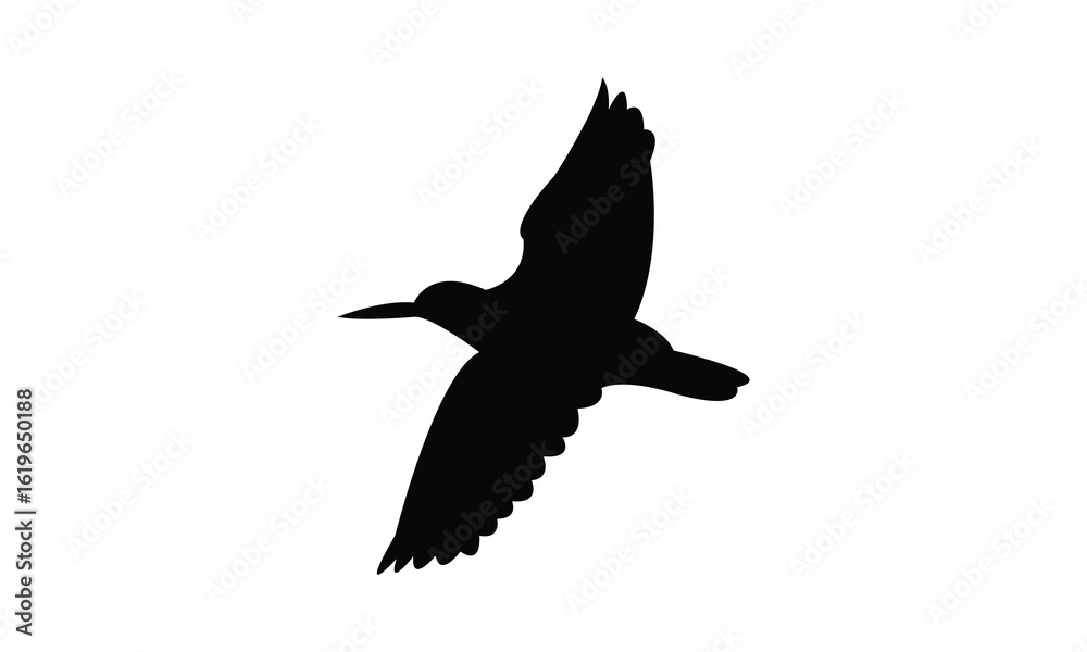 Obraz premium Flying American oystercatcher bird Silhouette Design And Vector Illustration. 