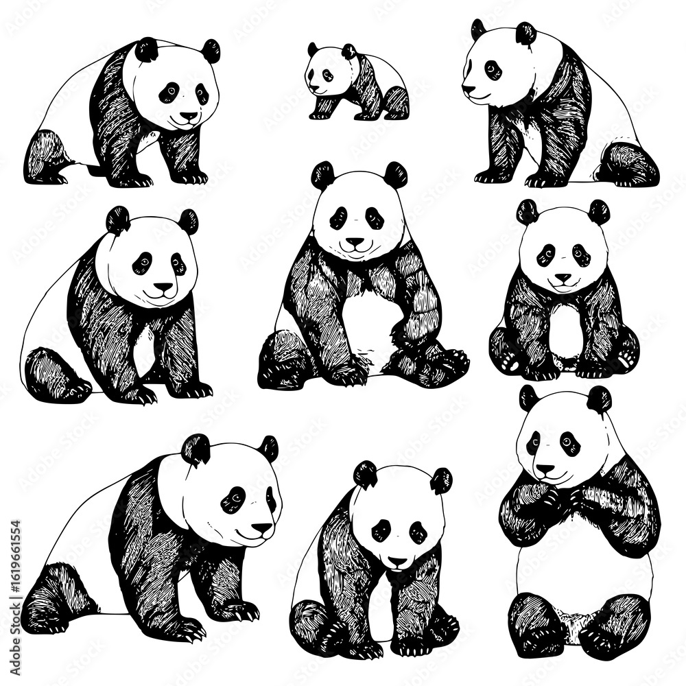 Obraz premium Adorable panda bears sketched in various playful poses