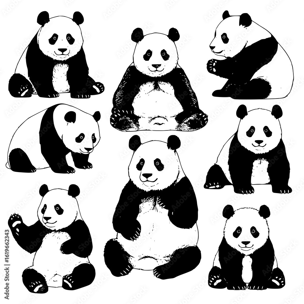 Fototapeta premium Adorable pandas in various cute sitting poses