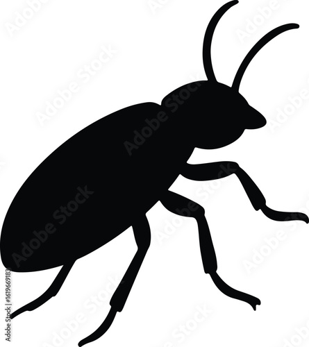 Silhouette cockroach insect isolated on white background vector illustrator