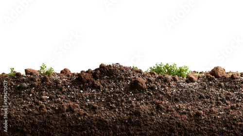 Cross Section of Fertile Soil: A detailed view of fertile soil, showing rich layers of earth, with subtle green sprouts emerging, illustrating the potential for growth.
