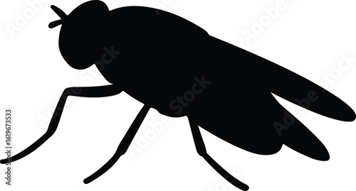 Silhouette fly insect side view isolated vector Illustrator