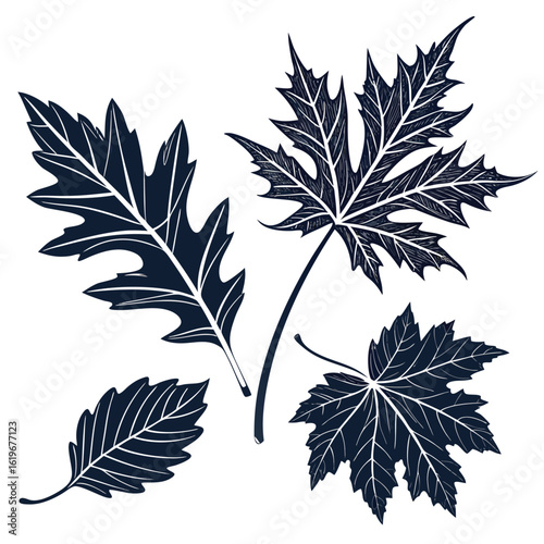 Collection of dark blue oak and maple leaves with white veins on a white background oak leaf maple leaf
