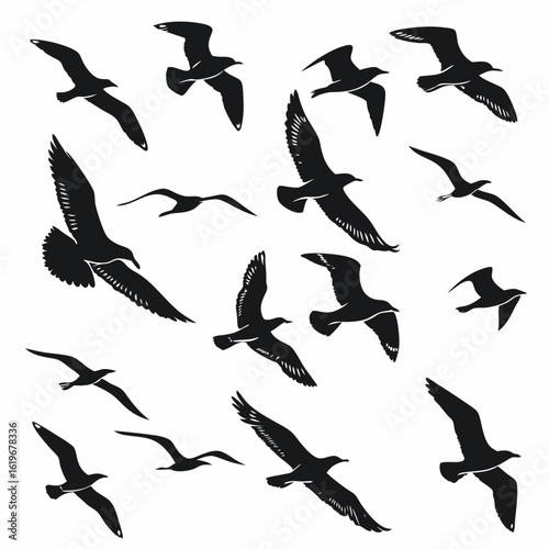 Collection of sixteen stylized black silhouettes of seagulls in flight against a white background bird
