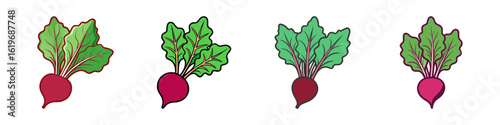 Fresh beetroots with leafy green tops-Illustrated set of whole beetroots with leafy green tops, symbolizing organic farming, healthy root vegetables, nutrition, and vegetarian food.  