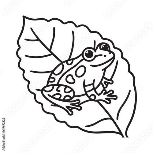 black and white frog on leaf clip art preview