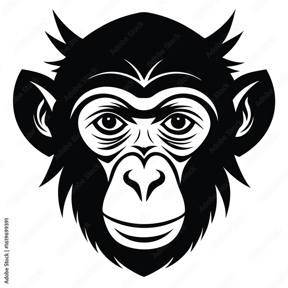 Obraz premium head of the monkey