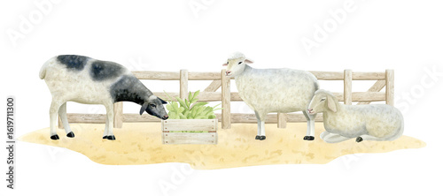 watercolor sheep farm scene with wooden fence clip art preview