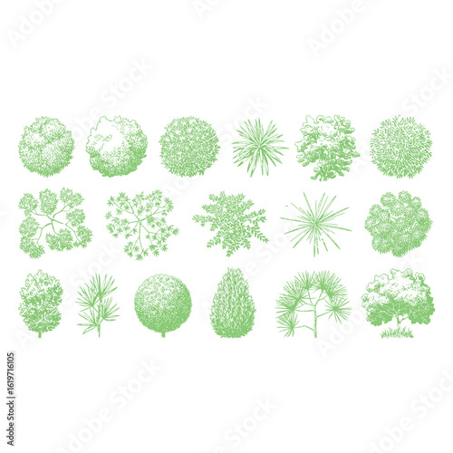 Green Top View Tree and Plant Icons for Landscape Design trees plants